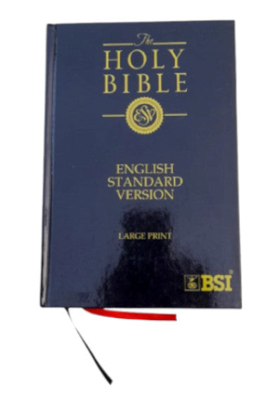 ESV Large Print Bible