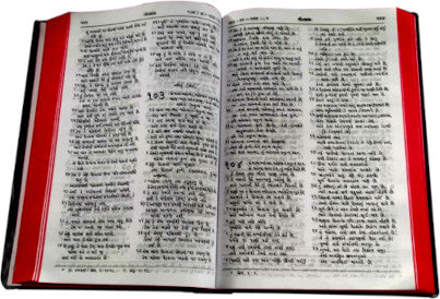 Gujarati Bible