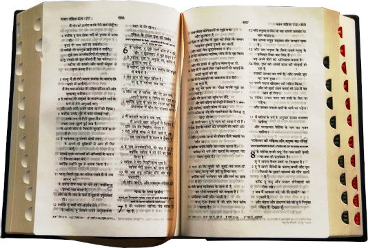 Pavitra Bible Compact 1150