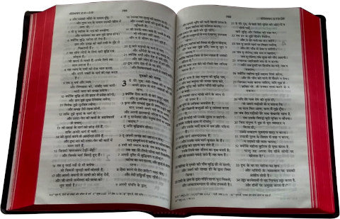 Pavitra Bible 320