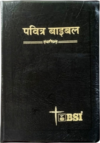 Pavitra Bible 320