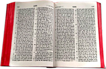 Punjabi Bible