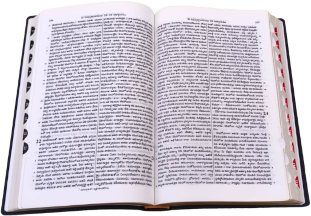 Telugu Bible with Index
