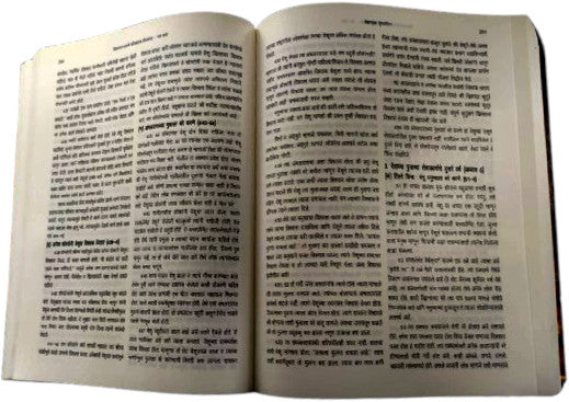 Believer's Bible Commentary Marathi (New Testament)